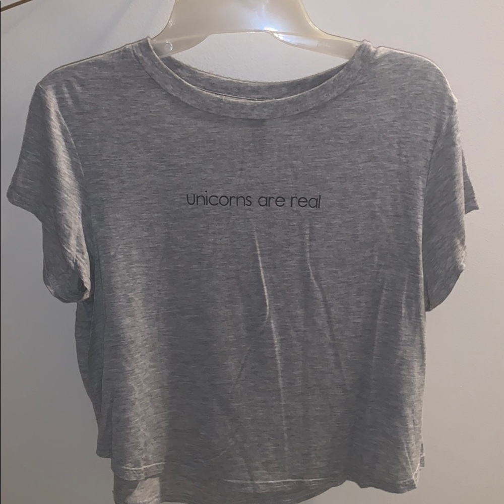 divided “unicorns aren’t real” grey cropped tee